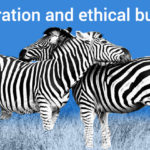 The self-reinforcing nature of cooperation and ethical business
